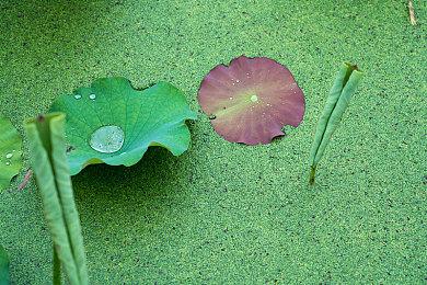 《真女神转生5：复仇》宣布2024年6月21日发售！全方位升级，并登陆各大游戏平台